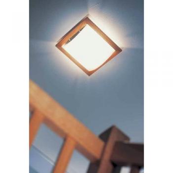 Lámpara de Techo Domus STELLA con Diseño Elegante y Luz Cálida