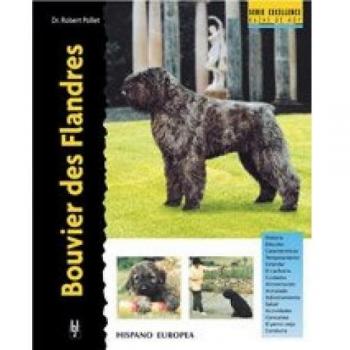 Bouvier des Flandres