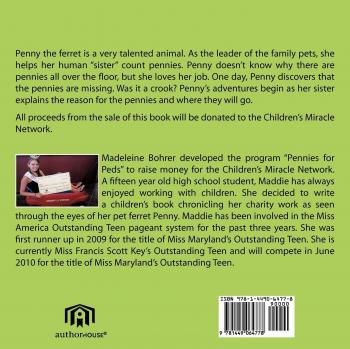 Penny's Coin Challenge Puzzle Book