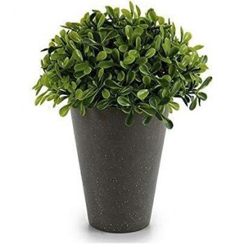 Ibergarden Planta Decorativa, Plástico, 13 x 17 x 13 cm