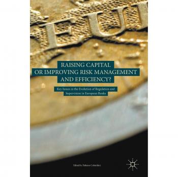 RAISING CAPITAL OR IMPROVING RISK MANAGEMENT AND EFFICIENCY?