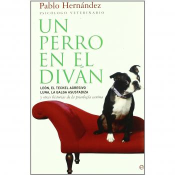 Perro en el divan, un