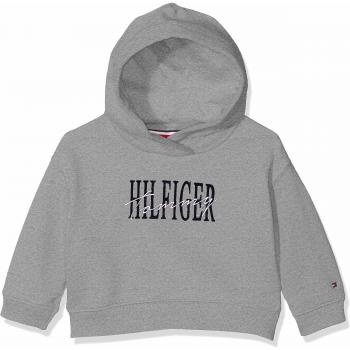 Tommy Hilfiger Essential Graphic Logo Hoodie Capucha, Gris