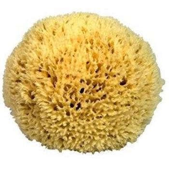 CROLL & DENECKE P090 - Esponja Natural del mar Mediterráneo, 9 cm