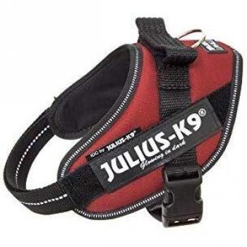 JULIUS-K9 16IDC Power Harness