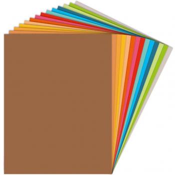 PAQ/25 CARTULINA FIXO 50X65 180G. SURTIDO