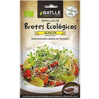 BROTES ALFALFA - ECO