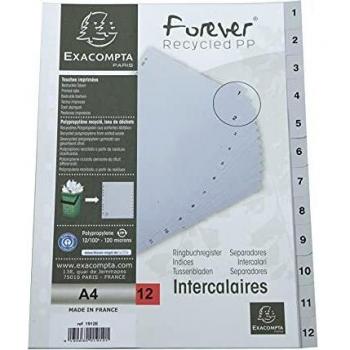 Exacompta 1912E - Divisor