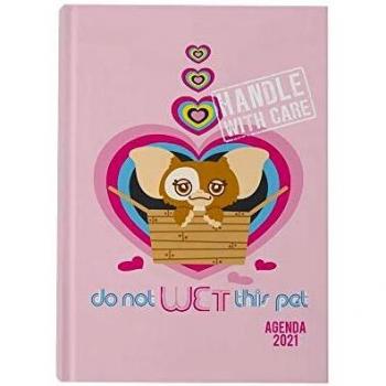 Agenda 2021 Handle with Care Gremlins