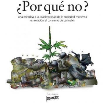 Por que' no ?: una miradita a la irracionalidad de la sociedad moderna en relación al consumo de cannabis