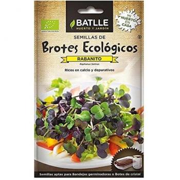Semillas Orgánicas para Germinar Brotes de Rabanito - 18g