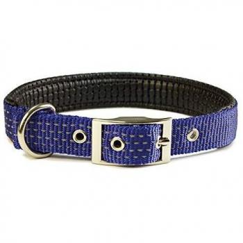 Collar nylon liso azul - 2,5 x 53 cm