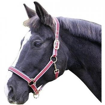Kerbl Exclusive 2 Vías Ajuste Cabeza Cuello, Unisex, Exclusive 2-Way Adjustment, Rojo