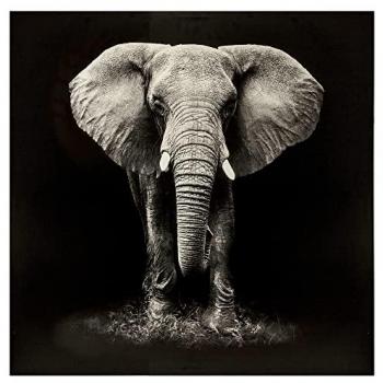 Cuadro decorativo de lienzo de elefante 100x100cm, lienzo impreso 'Éléphant' 100 x 100 cm, lienzo con marco de madera Elefante 100x100cm, ATMOS