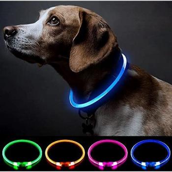 Collar de perro con luz recargable para perros con luz de trabajo de seguridad personalizada con USB recargable Super brillante collar intermitente para perro 4 colores luces para caminar por la noche
