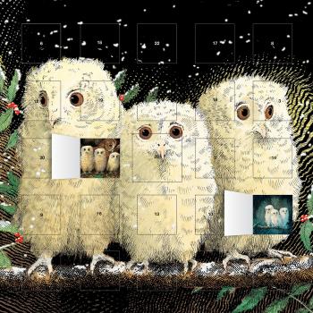 Owl Babies advent calendar