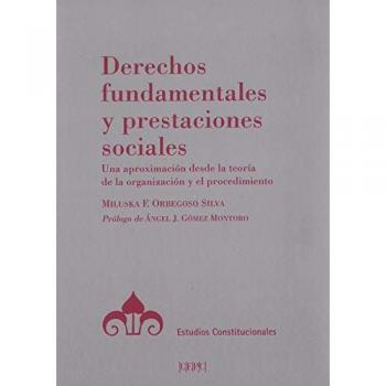 Derechos fundamentales y prestaciones sociales: Una aproximación desde la teoría de la organización y el procedimiento