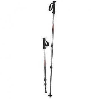 Bastones de senderismo Lafuma Access (Gris acero)