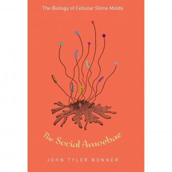 The Social Amoebae: Exploring the Biology of Cellular Slime Molds
