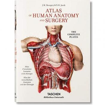 Bourgery. Atlas of Human Anatomy and Surgery