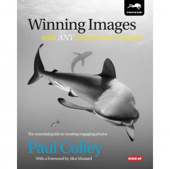 Imágenes Ganadoras con Cualquier Cámara Submarina por Paul Colley