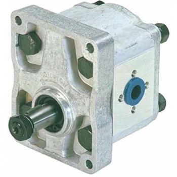 Bomba Hidráulica LEM SELECT 11,4 cc Adaptable Fiat 8273385