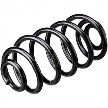 Muelle del chasis Lesjofors 4226133