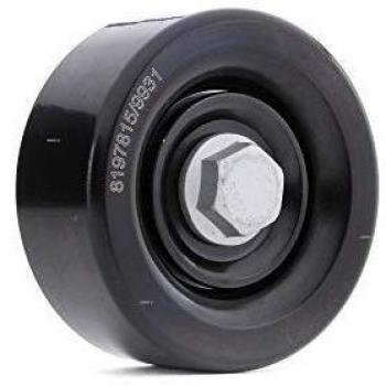 Polea Tensora RIDEX 310T0186 para Correa Poli V, compatible con Hyundai y Kia (modelos Getz, Santa Fe I y II, Tucson, Carens 3)
