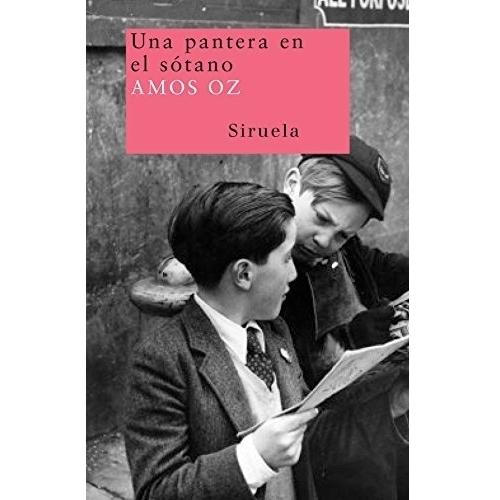 Imagen Principal