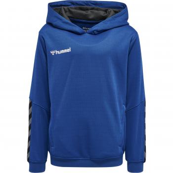 Hummel hmlAUTHENTIC Poly Kids Hoodie