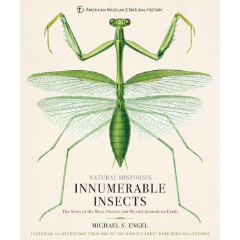 Innumerable Insects: The Story of the Most Diverse and Myriad Animals on Earth