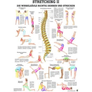 ruediger Anatomía ta69lam Streching II Pizarra, 70 cm x 100 cm, laminado