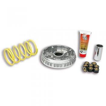 Malossi - Variador 5111225 para Yamaha X Max 250 4T LC Multivar 2000