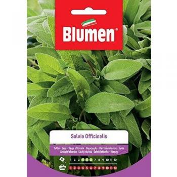 Semillas de Salvia Officinalis - Sementes para Huerto Peragashop