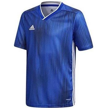 adidas Tiro 19 JSY Y Camiseta de Manga Corta, Niños, Bold Blue/White, 1112Y