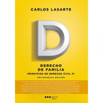 Principios de Derecho civil. Tomo VI: Derecho de familia: 6