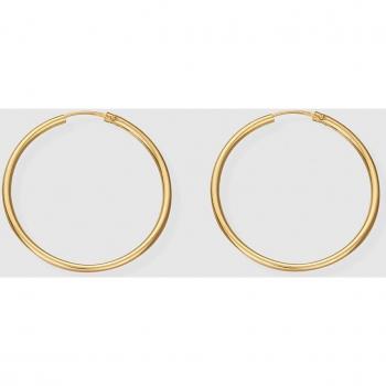 Pendientes de aro en oro con diseño elegante y moderno