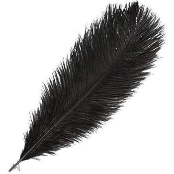 Artemio Avestruz, Pluma, Negro, 12 x 0,5 x 40 cm