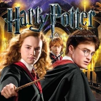 The Official Harry Potter 2016 Square Calendar