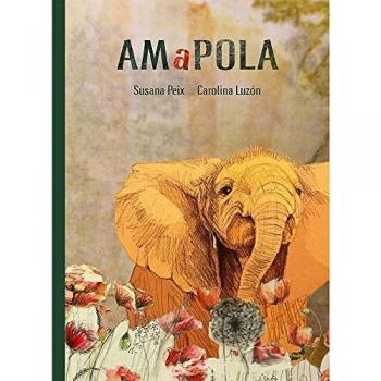 Amapola