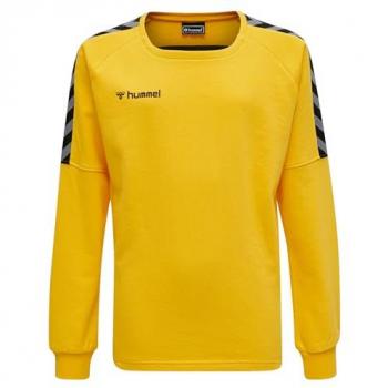Hummel hmlAUTHENTIC Training Kids Sweatshirt