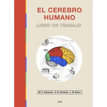 El cerebro humano: Libro de trabajo