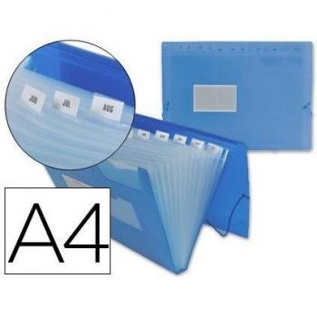 Liderpapel Carpeta Clasificador Fuelle 32112 Polipropileno Din A4 Azul Transparente 13 Departamentos