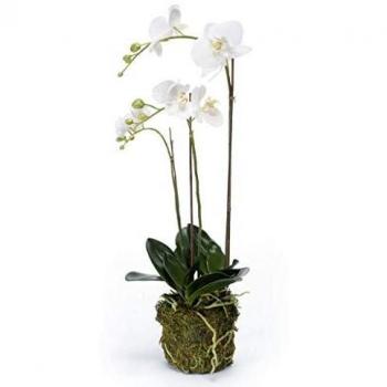 Emerald Orquídea Mariposa Artificial 70 cm Blanca Decoración Maceta Casa Flor