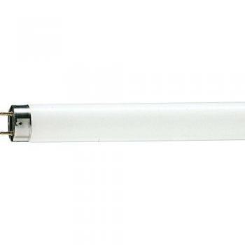 Lámpara Fluorescente Philips MASTER TL-D Graphica 36W 965 - Luz de Día, T8, 120cm