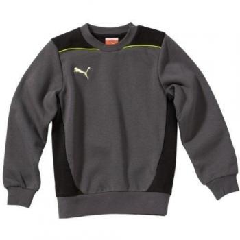 PUMA - Sudadera de fútbol sala para niño, tamaño 140 UK, color sombra oscura - lima