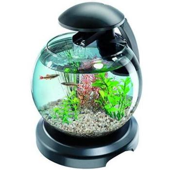 Tetra Cascade Globe black