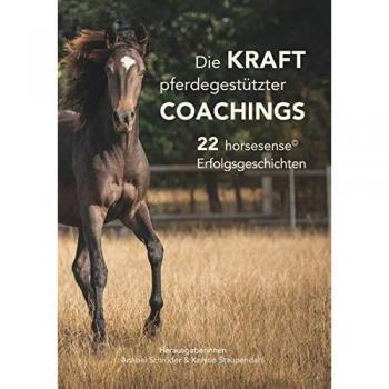 La Fuerza del Coaching Asistido por Caballos: 22 Historias de Éxito Horsesense