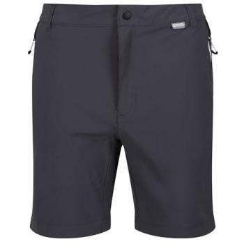 Pantalones Cortos de Senderismo para Hombre Regatta Mountain II Gris 36