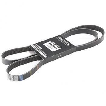 Correa Poly-V RIDEX 305P0146 para AUDI, MERCEDES-BENZ y OPEL - 1855mm, Correa de accesorios y alternador